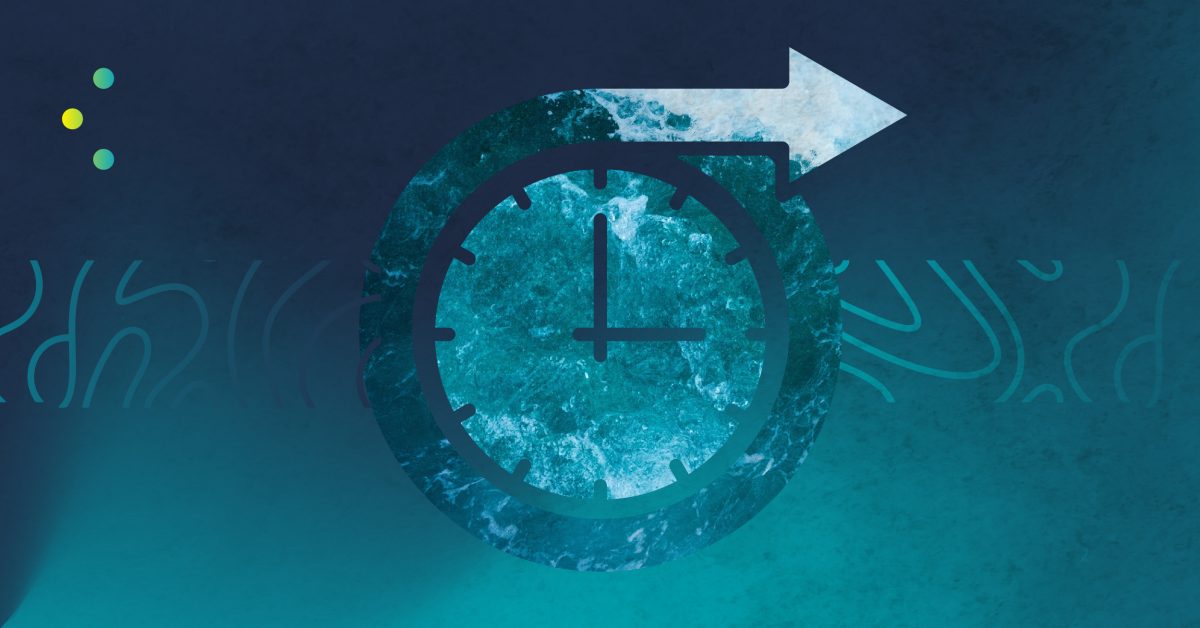 Pricing Shift Share Graphic